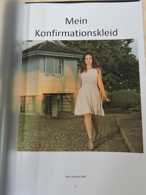 Projektarbeiten 2017
3. Sek