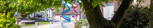 Primarschule Jonschwil 