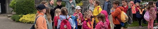 Vitamin C Primarschulen