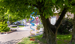Primarschule Jonschwil 