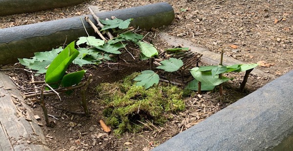 Projektarbeit im Wald