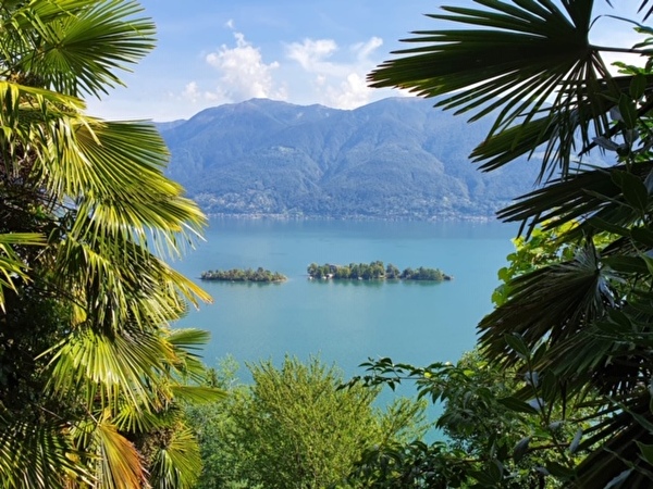 Aussicht in Ascona
