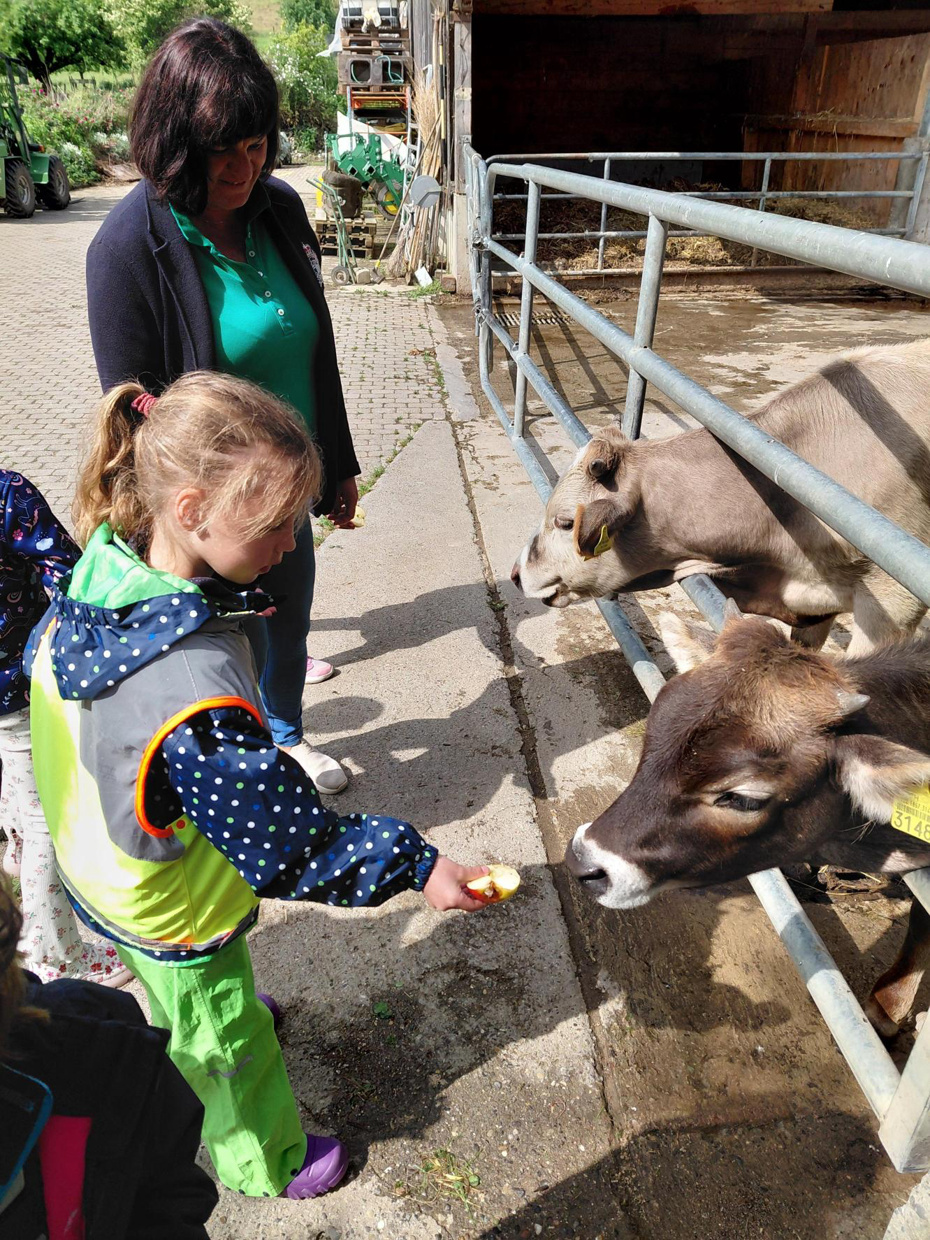 Tiere füttern und kennenlernen, was im Boden lebt, auf dem Bauernhof Ortoloco.