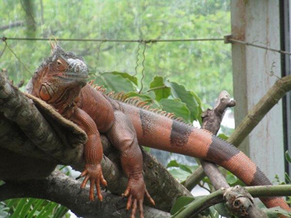 Besuch im Walterzoo