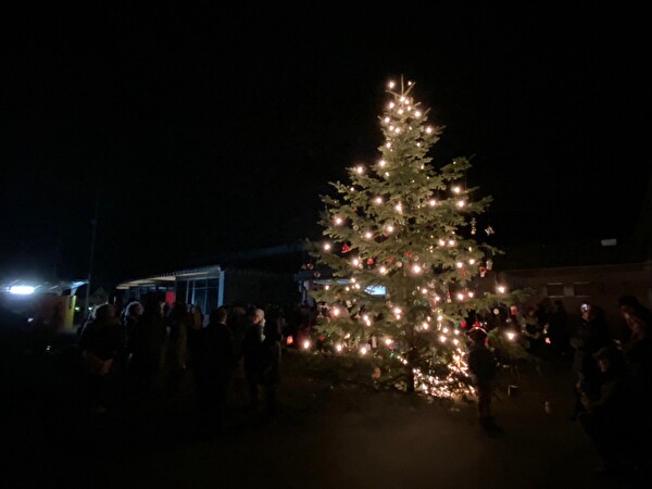 Adventsfenstereröffnung geschmückter Tannenbaum