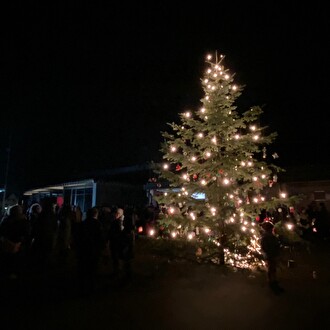 Adventsfenstereröffnung geschmückter Tannenbaum