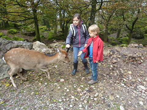 Veloausflug und Tierpark Goldau