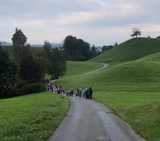 Gerberacher-Berg: Mittelstufen-OL