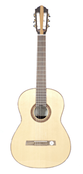 Gitarre