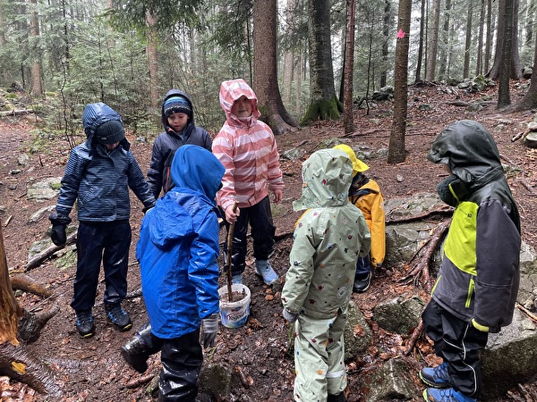 Regentag im Wald