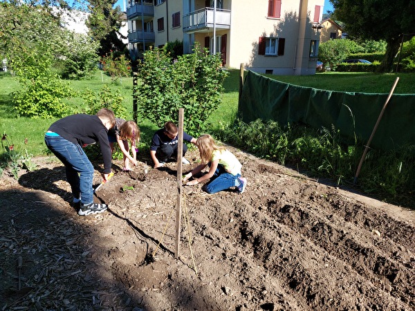 Das Gartenjahr hat im Frühling begonnen.