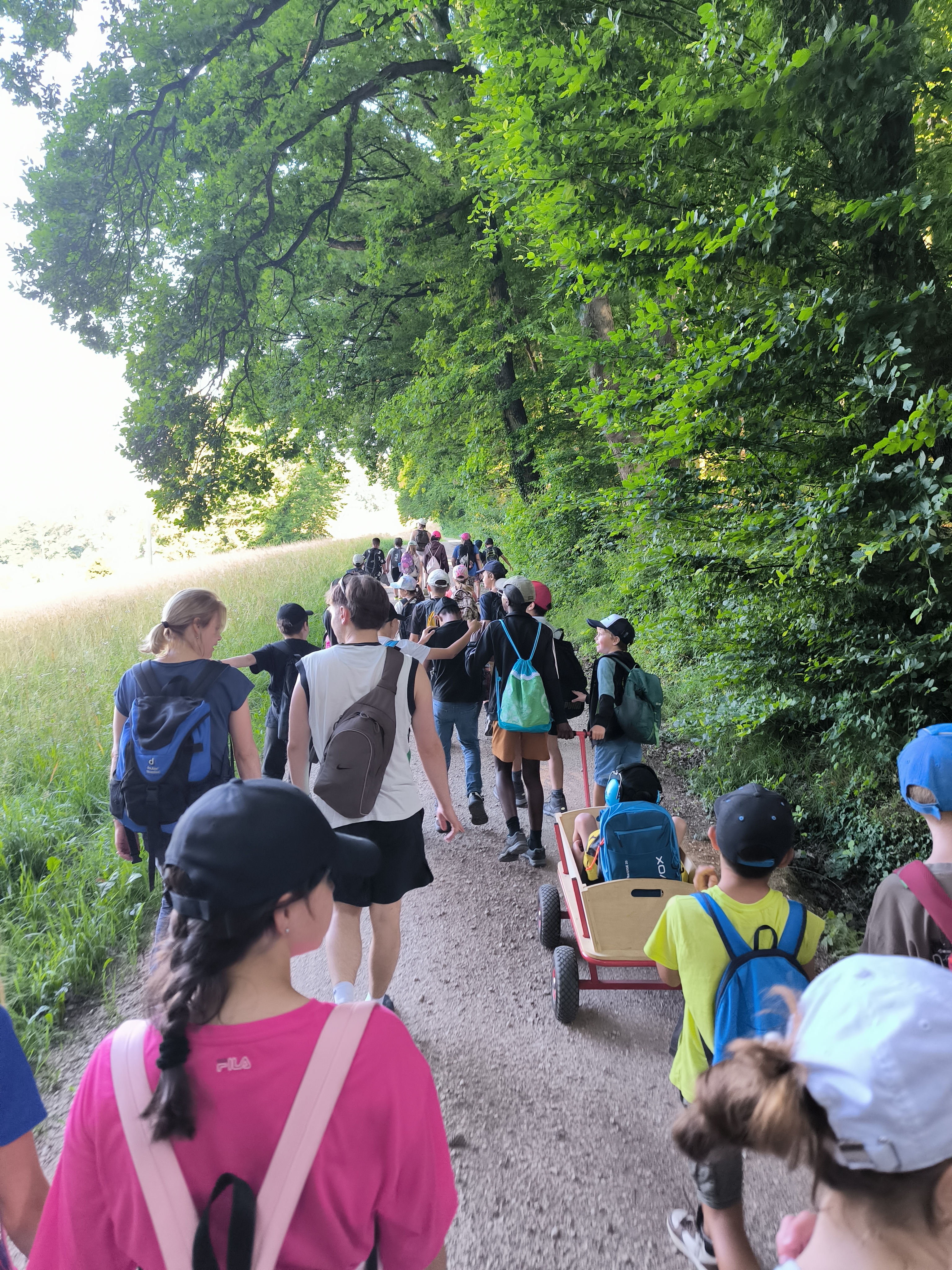 ... zum Altberg.