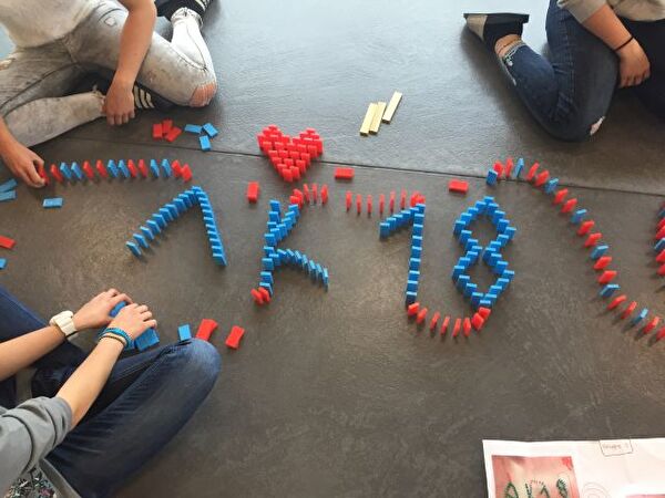 Domino Projekt