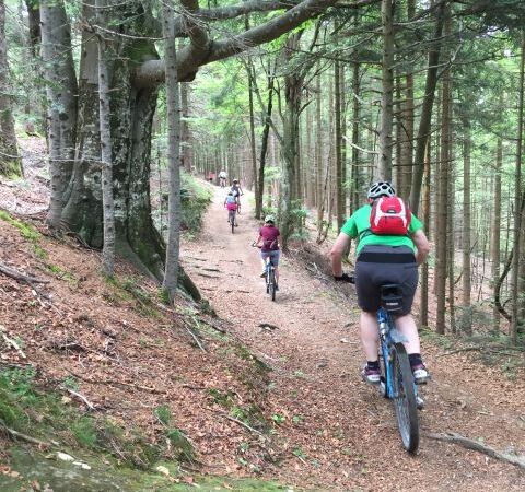 Sporttag Oberstufe