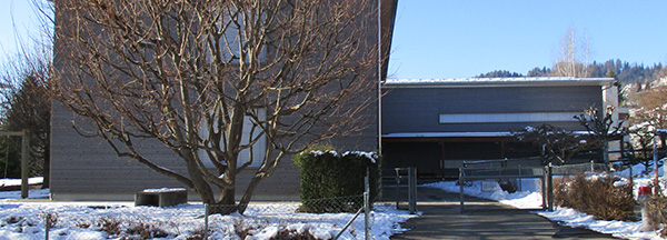 Grundstufe f Fischmatt