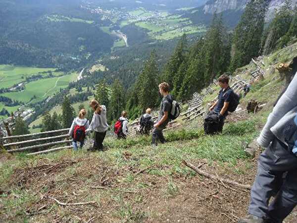 Projekt  Bergwald der 3. Oberstufe