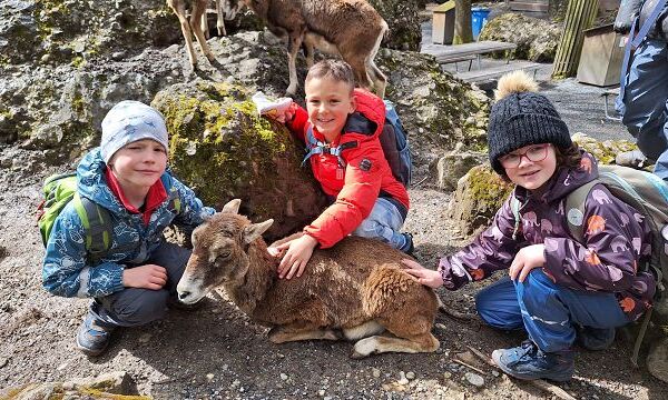 Tierpark Goldau