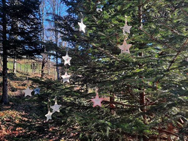 6b Waldweihnacht