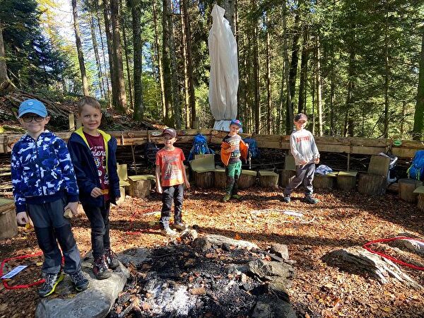 1a & 1b im Wald
