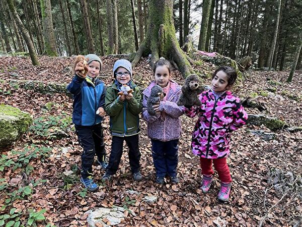 Waldbesuch im Herbst