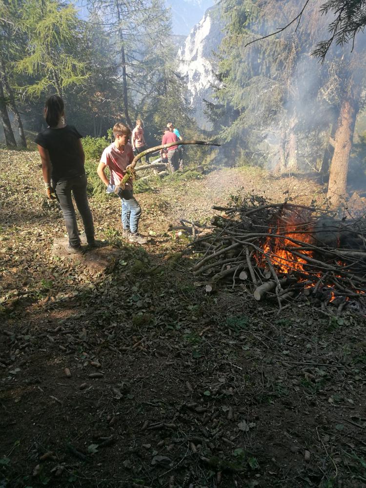 Arbeit im Wald