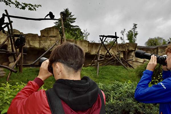 «Fotografieren statt Knipsen»: Zwei Schüler stehen im Walter Zoo vor dem Schimpansen-Gehege.