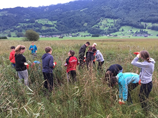 Schüler arbeiten im Feld