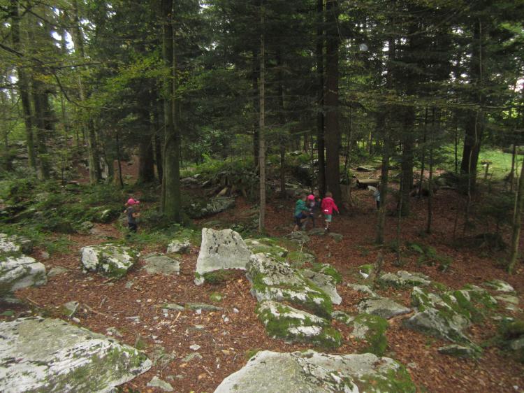 Spielen im Wald