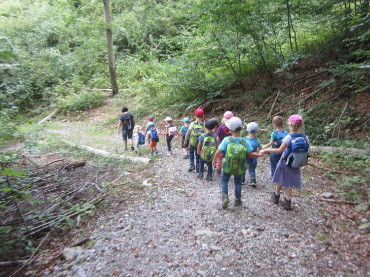 weiter geht es den Wald hinunter...