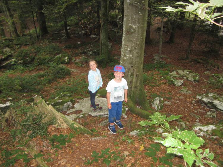Der Wald - der beste Spielplatz:)