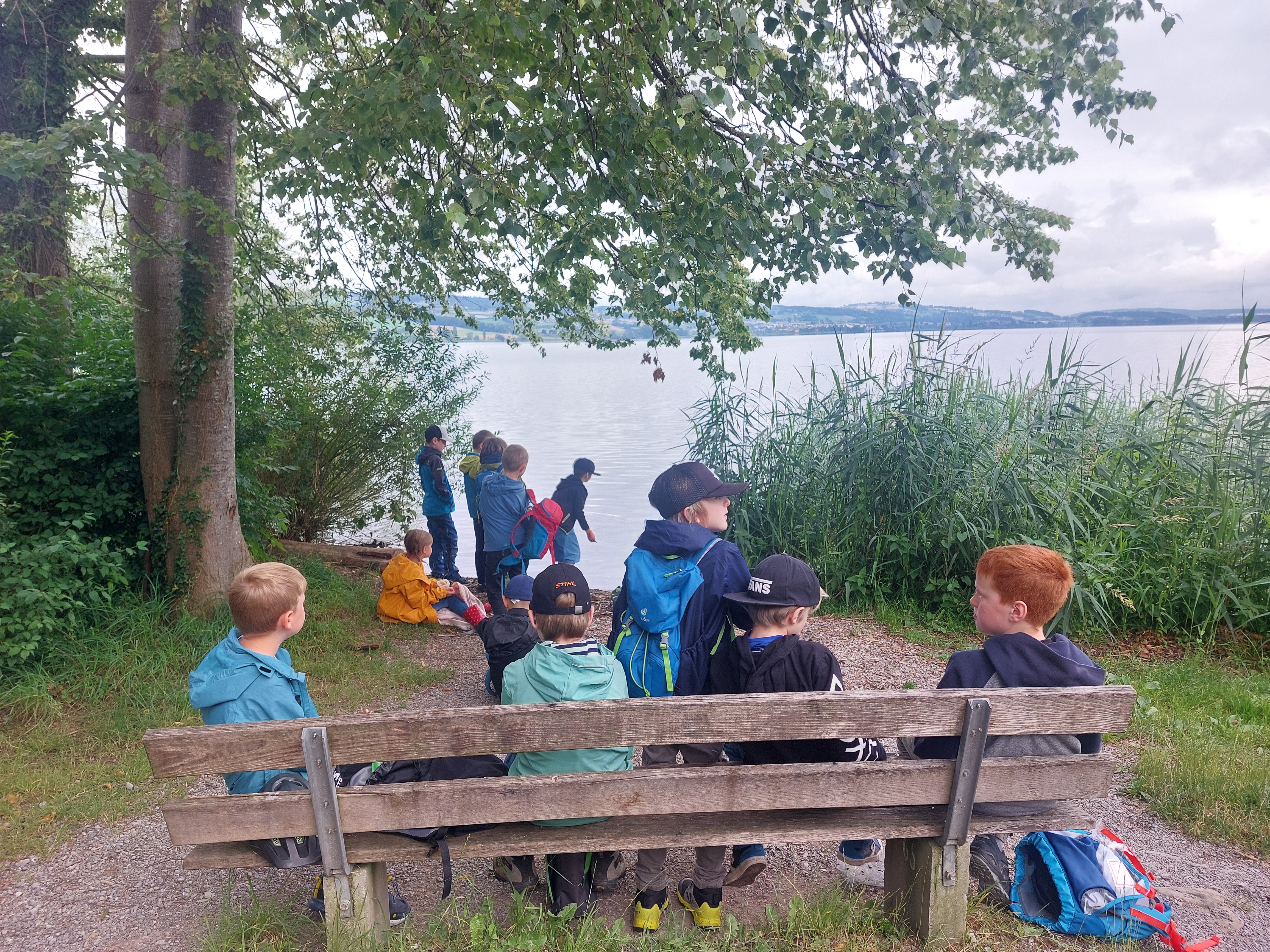 Znüni am Sempachersee