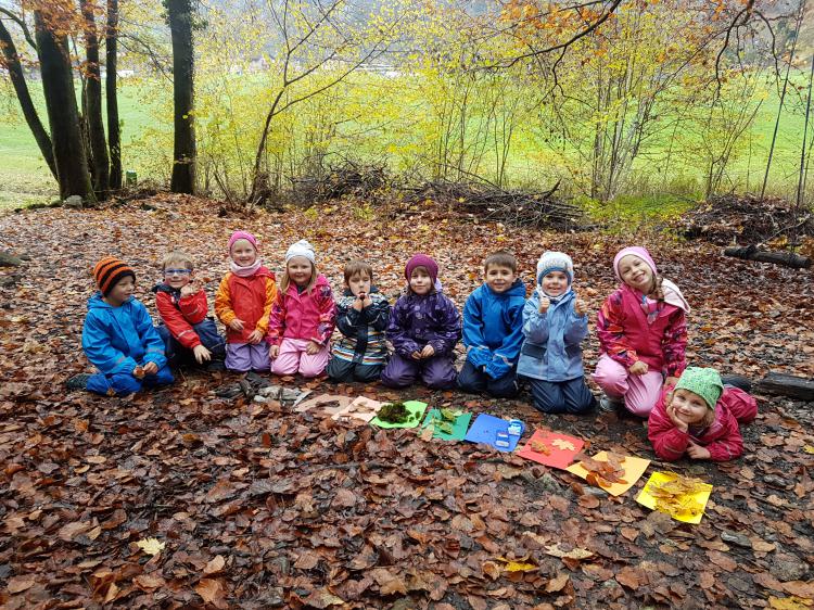 Herbstfarben vom Wald sammeln