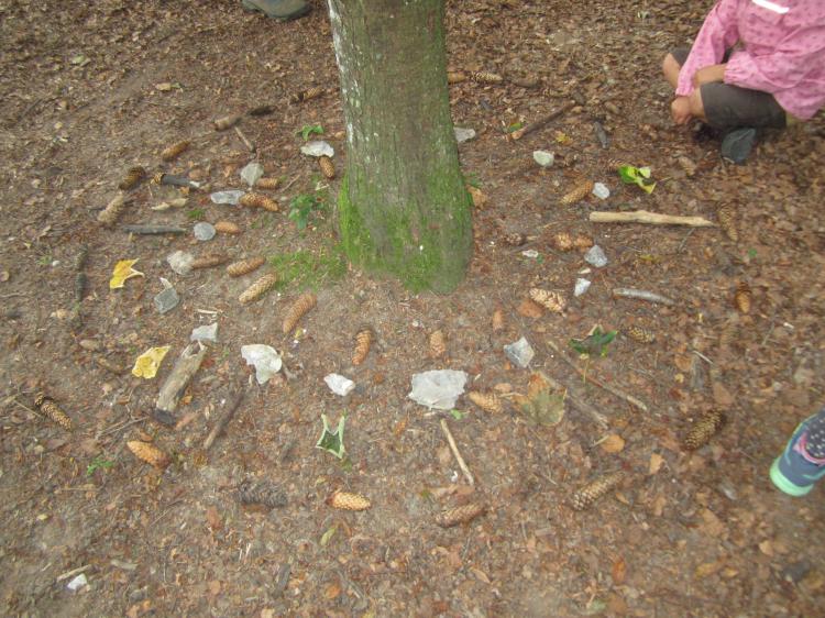 ...auch Künstler sind hier im Wald unterwegs - ein Waldmandala.
