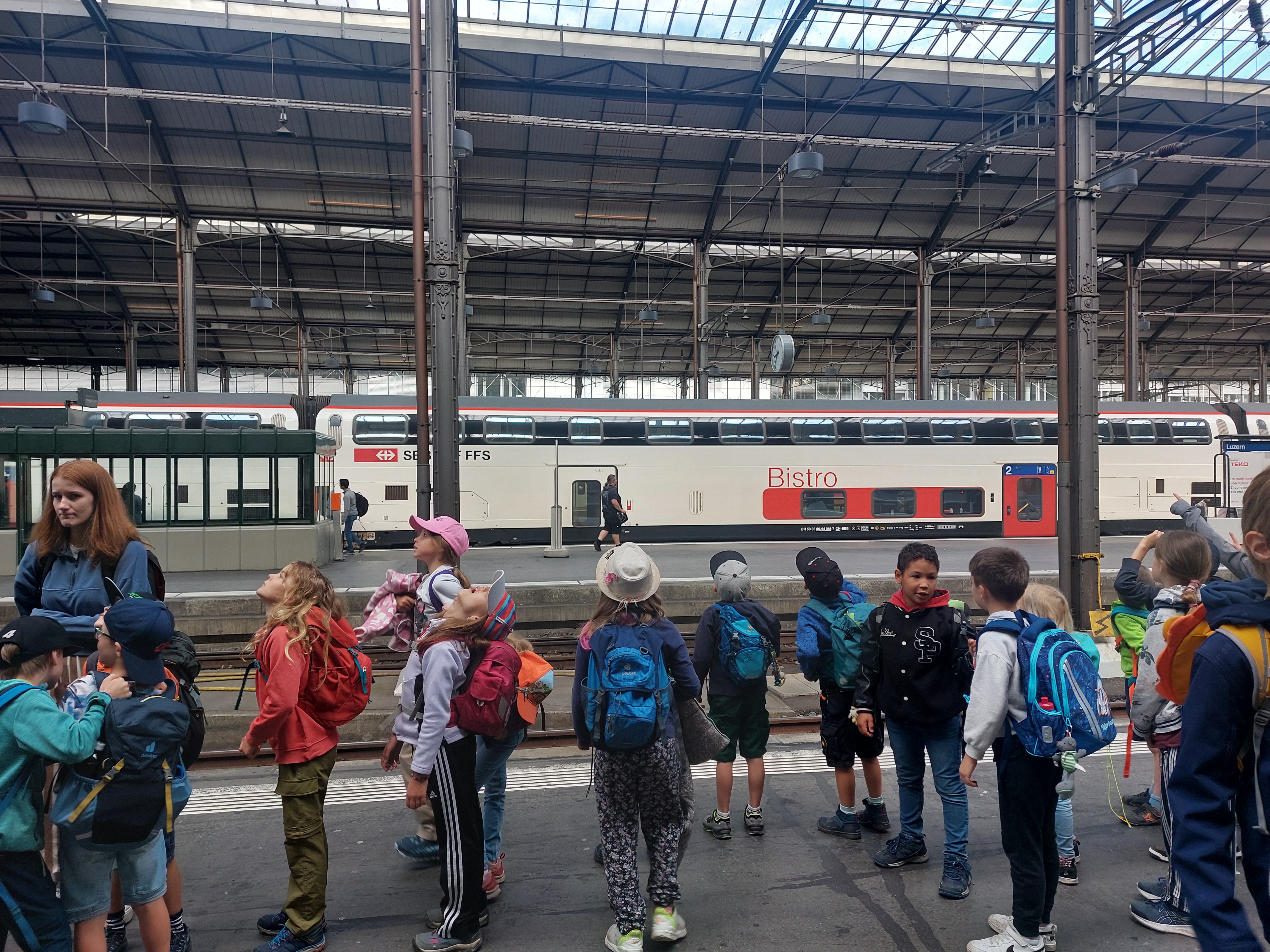 Möwen beobachten am Bahnhof Luzern