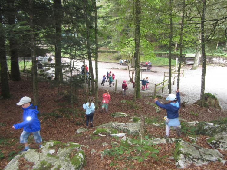 Spielen im Wald