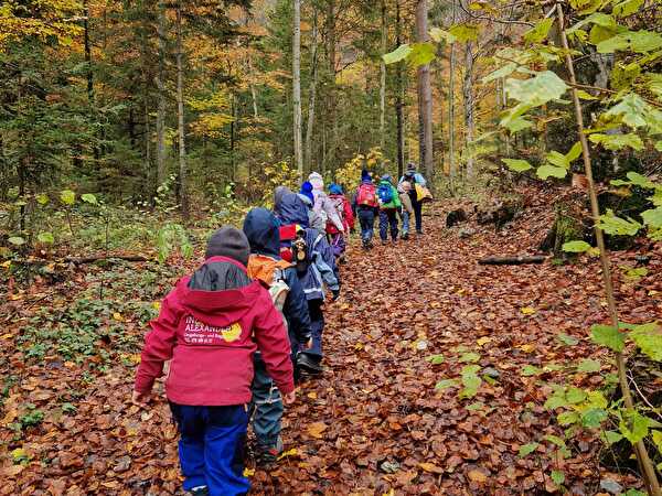 Waldnachmittag Vollzeitkindergarte B