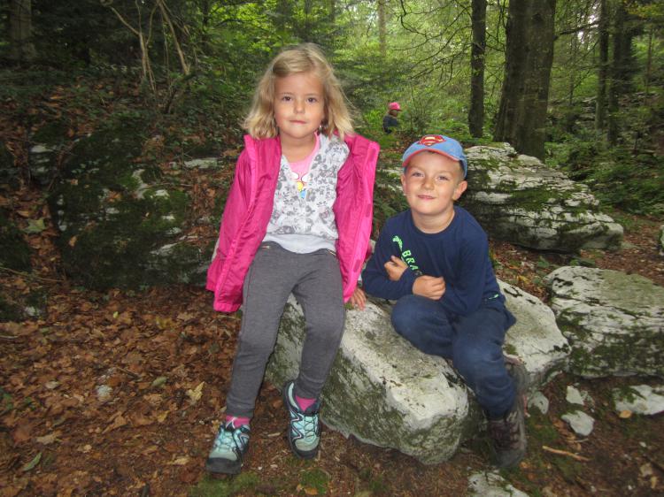 Spielen im Wald
