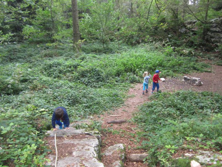 Spielen im Wald
