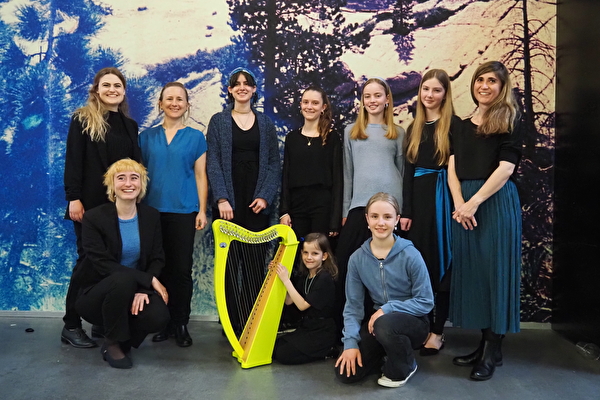 Bild Ensemble Harfen