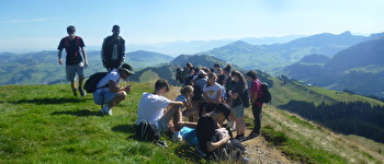 Auf dem Kronberg