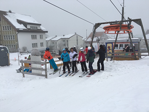 Skitag 2017