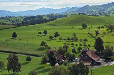 Herbstwanderung Team F