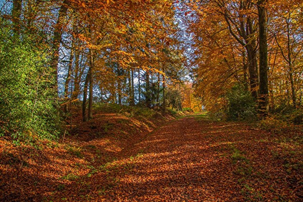 Bild Herbstwanderung