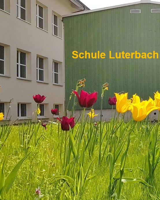 Handbuch 2023