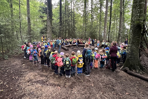 Kindergarten im Wald