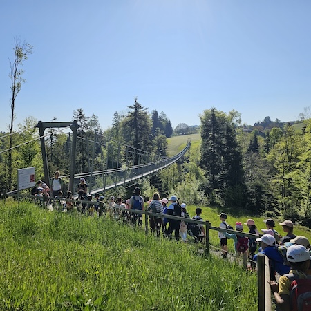 Schulreise Hängebrücke