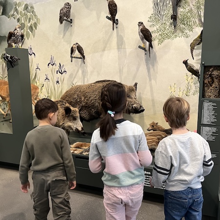 Naturkundemuseum