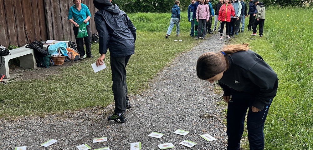 Lernen auf spielerische Art und Weise