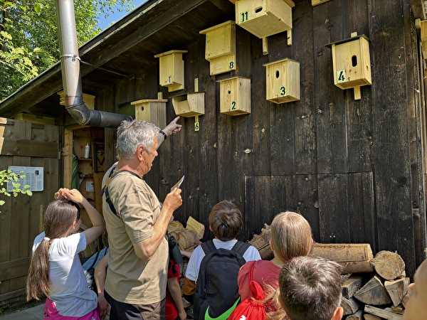 jeder Vogelart ihr eigenes Nest...