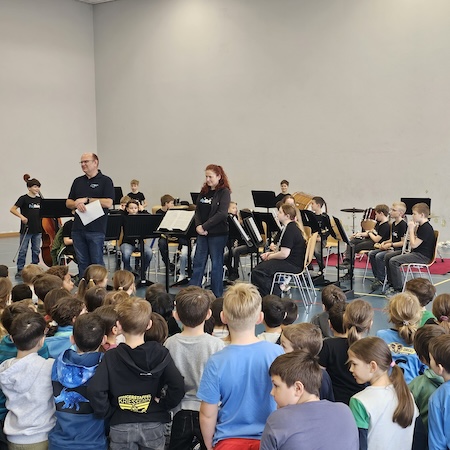 Instrumentenvorstellung